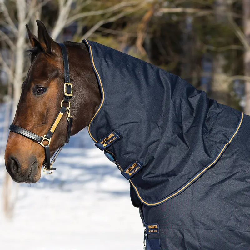 Horseware Amigo Bravo 12 XL Hood 150g - Navy/Navy/Gold
